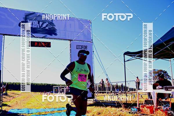 Buy your photos of the eventWolf Series - Botucatu on Fotop