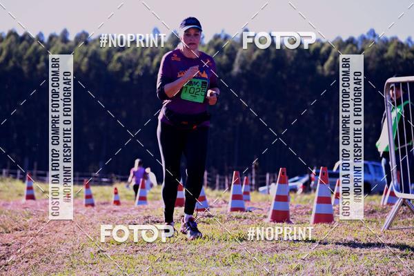 Buy your photos of the eventWolf Series - Botucatu on Fotop