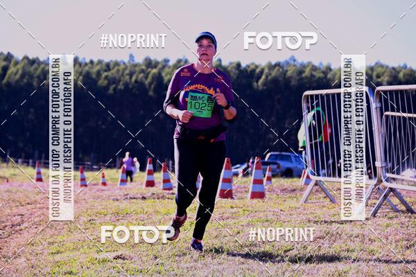 Buy your photos of the eventWolf Series - Botucatu on Fotop