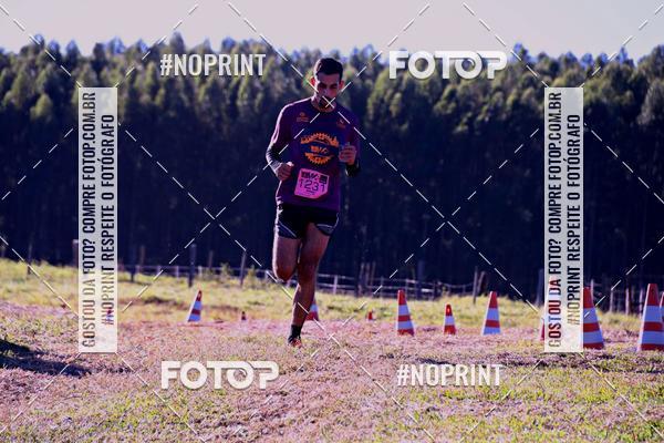 Buy your photos of the eventWolf Series - Botucatu on Fotop