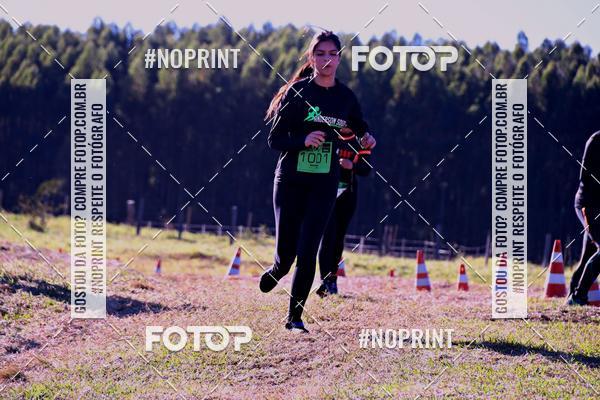 Buy your photos of the eventWolf Series - Botucatu on Fotop