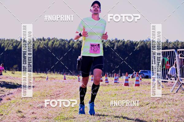 Buy your photos of the eventWolf Series - Botucatu on Fotop