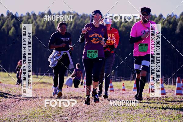 Buy your photos of the eventWolf Series - Botucatu on Fotop