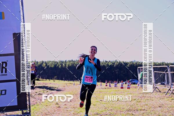 Buy your photos of the eventWolf Series - Botucatu on Fotop