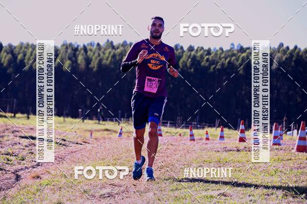 Buy your photos of the eventWolf Series - Botucatu on Fotop