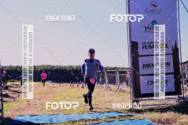 Buy your photos of the eventWolf Series - Botucatu on Fotop