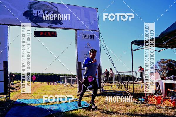 Buy your photos of the eventWolf Series - Botucatu on Fotop