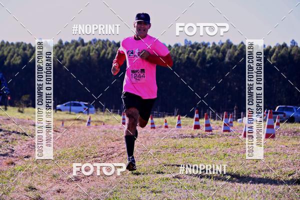 Buy your photos of the eventWolf Series - Botucatu on Fotop