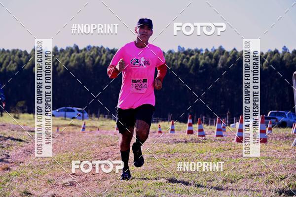 Buy your photos of the eventWolf Series - Botucatu on Fotop