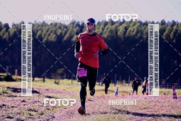 Buy your photos of the eventWolf Series - Botucatu on Fotop