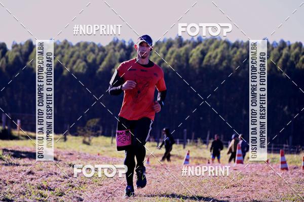 Buy your photos of the eventWolf Series - Botucatu on Fotop