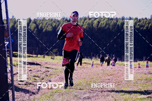 Buy your photos of the eventWolf Series - Botucatu on Fotop