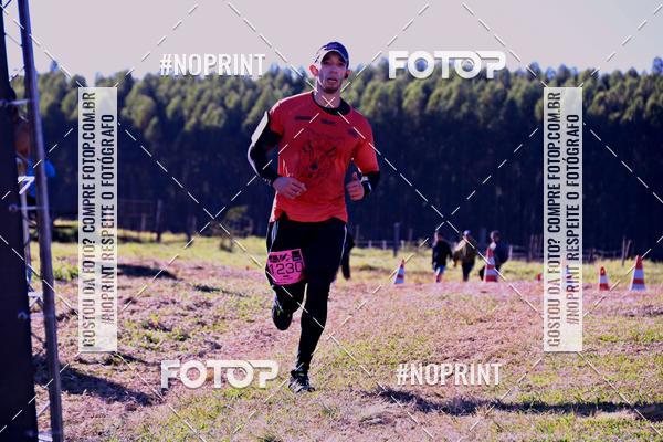 Buy your photos of the eventWolf Series - Botucatu on Fotop