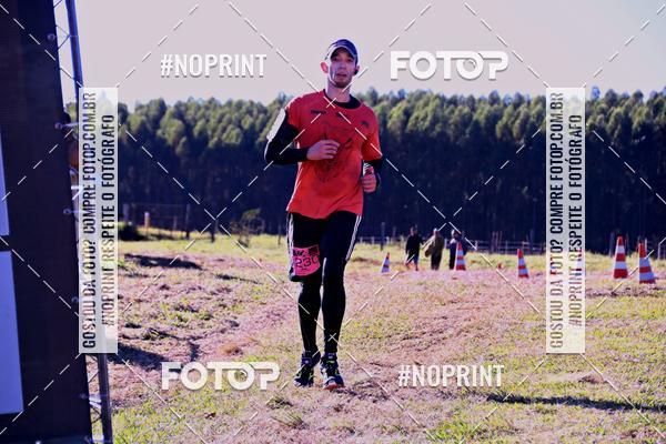 Buy your photos of the eventWolf Series - Botucatu on Fotop