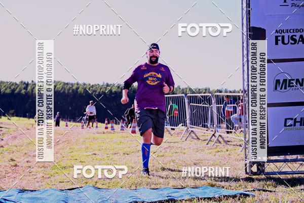 Buy your photos of the eventWolf Series - Botucatu on Fotop