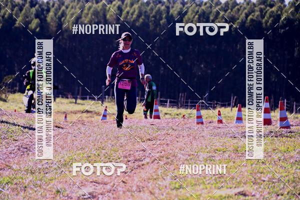 Buy your photos of the eventWolf Series - Botucatu on Fotop