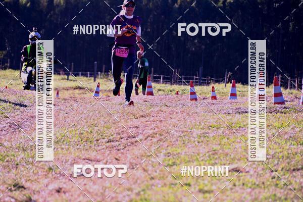 Buy your photos of the eventWolf Series - Botucatu on Fotop