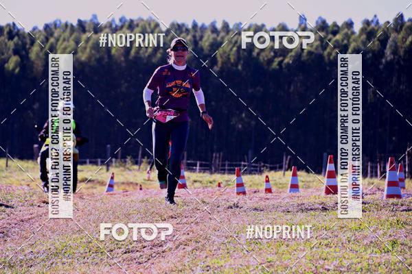 Buy your photos of the eventWolf Series - Botucatu on Fotop