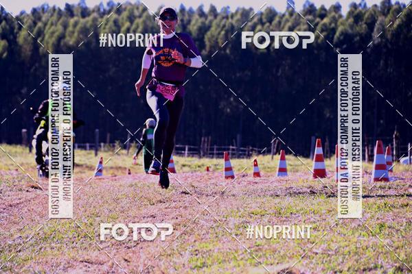 Buy your photos of the eventWolf Series - Botucatu on Fotop