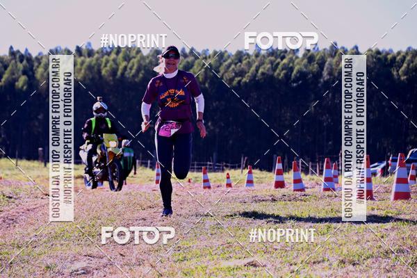 Buy your photos of the eventWolf Series - Botucatu on Fotop