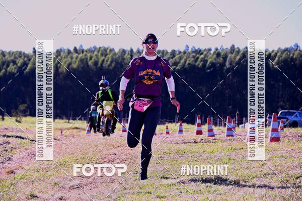 Buy your photos of the eventWolf Series - Botucatu on Fotop