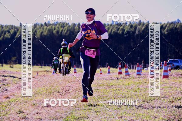 Buy your photos of the eventWolf Series - Botucatu on Fotop