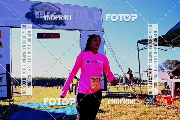 Buy your photos of the eventWolf Series - Botucatu on Fotop