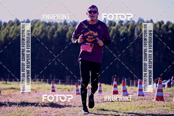 Buy your photos of the eventWolf Series - Botucatu on Fotop