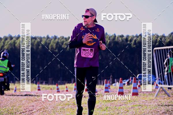 Buy your photos of the eventWolf Series - Botucatu on Fotop