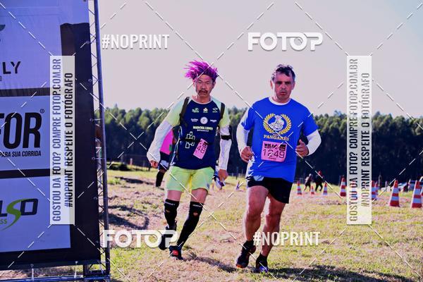 Buy your photos of the eventWolf Series - Botucatu on Fotop