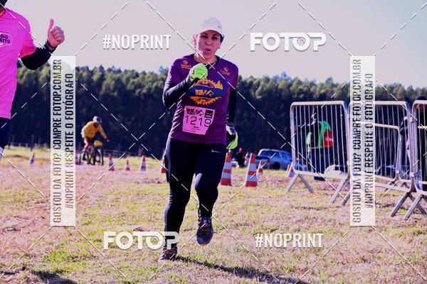 Buy your photos of the eventWolf Series - Botucatu on Fotop