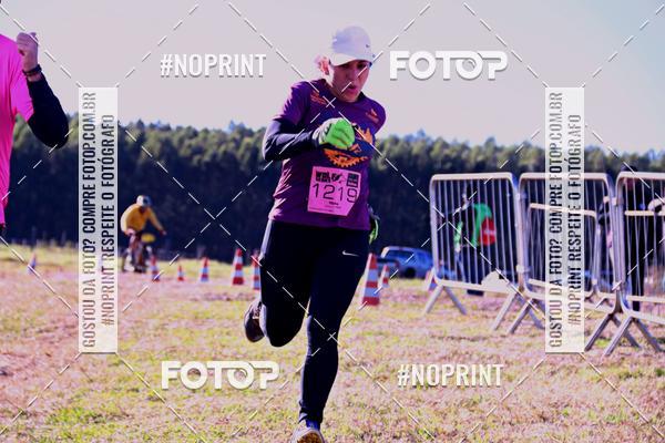 Buy your photos of the eventWolf Series - Botucatu on Fotop