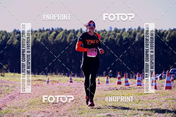 Buy your photos of the eventWolf Series - Botucatu on Fotop