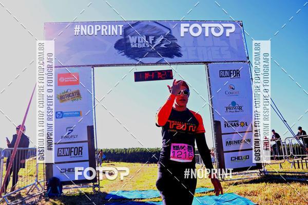 Buy your photos of the eventWolf Series - Botucatu on Fotop