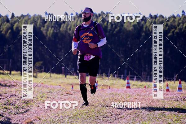 Buy your photos of the eventWolf Series - Botucatu on Fotop