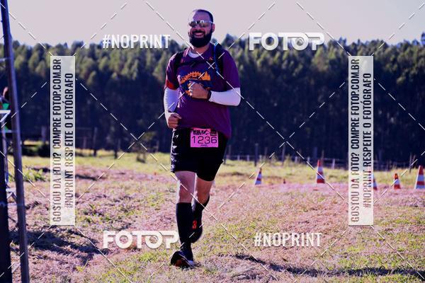 Buy your photos of the eventWolf Series - Botucatu on Fotop