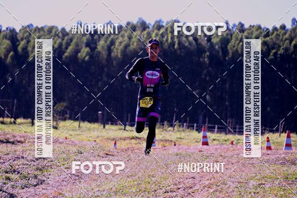 Buy your photos of the eventWolf Series - Botucatu on Fotop