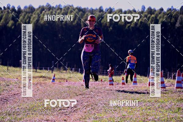 Buy your photos of the eventWolf Series - Botucatu on Fotop