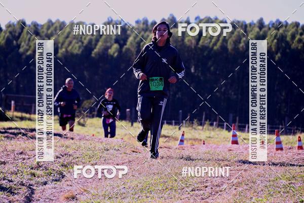 Buy your photos of the eventWolf Series - Botucatu on Fotop