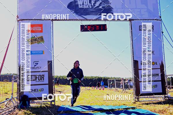 Buy your photos of the eventWolf Series - Botucatu on Fotop