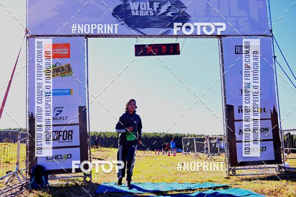 Buy your photos of the eventWolf Series - Botucatu on Fotop