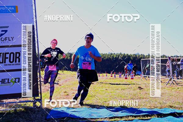 Buy your photos of the eventWolf Series - Botucatu on Fotop