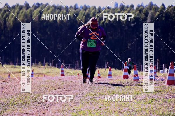 Buy your photos of the eventWolf Series - Botucatu on Fotop