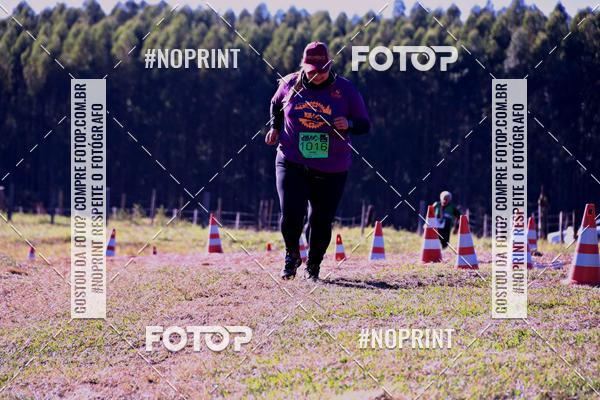 Buy your photos of the eventWolf Series - Botucatu on Fotop