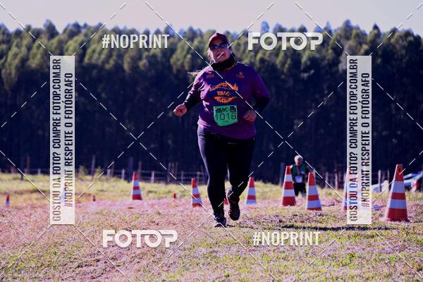 Buy your photos of the eventWolf Series - Botucatu on Fotop