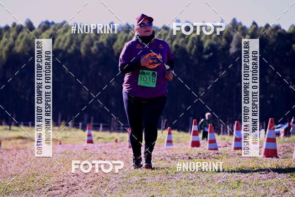 Buy your photos of the eventWolf Series - Botucatu on Fotop