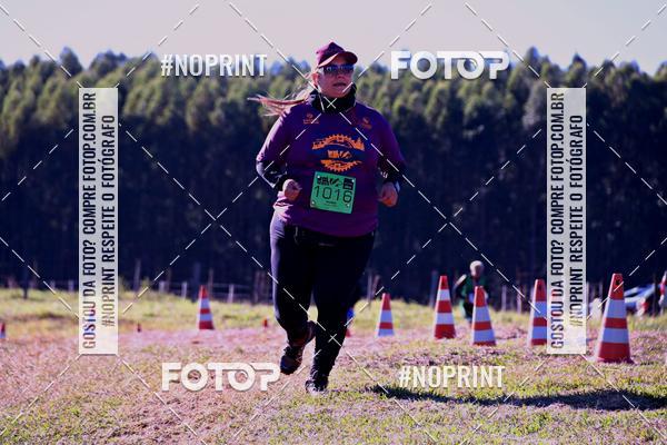 Buy your photos of the eventWolf Series - Botucatu on Fotop