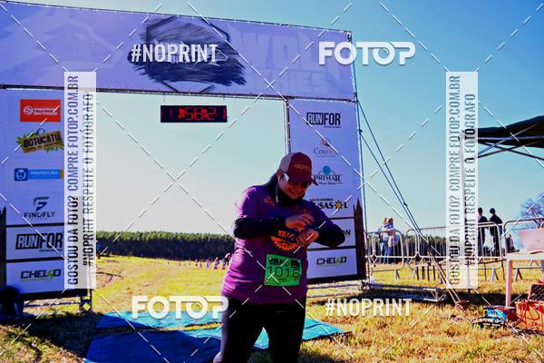 Buy your photos of the eventWolf Series - Botucatu on Fotop