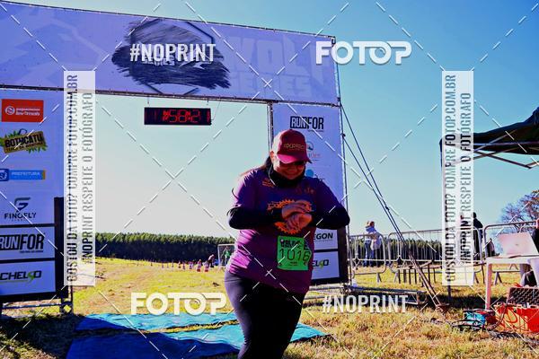 Buy your photos of the eventWolf Series - Botucatu on Fotop