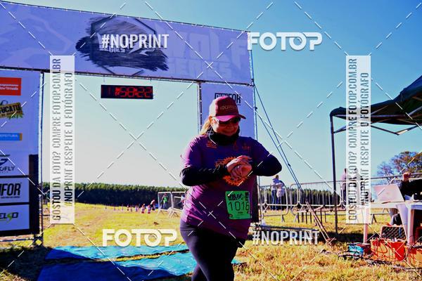 Buy your photos of the eventWolf Series - Botucatu on Fotop